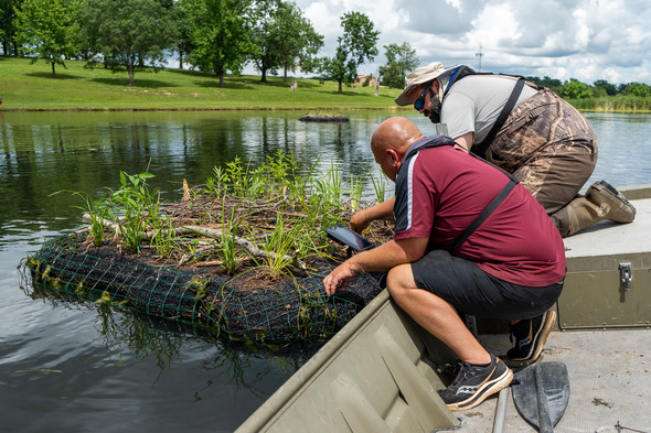 water flow for the newly planted additions on a floating wetland