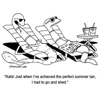 cartoon