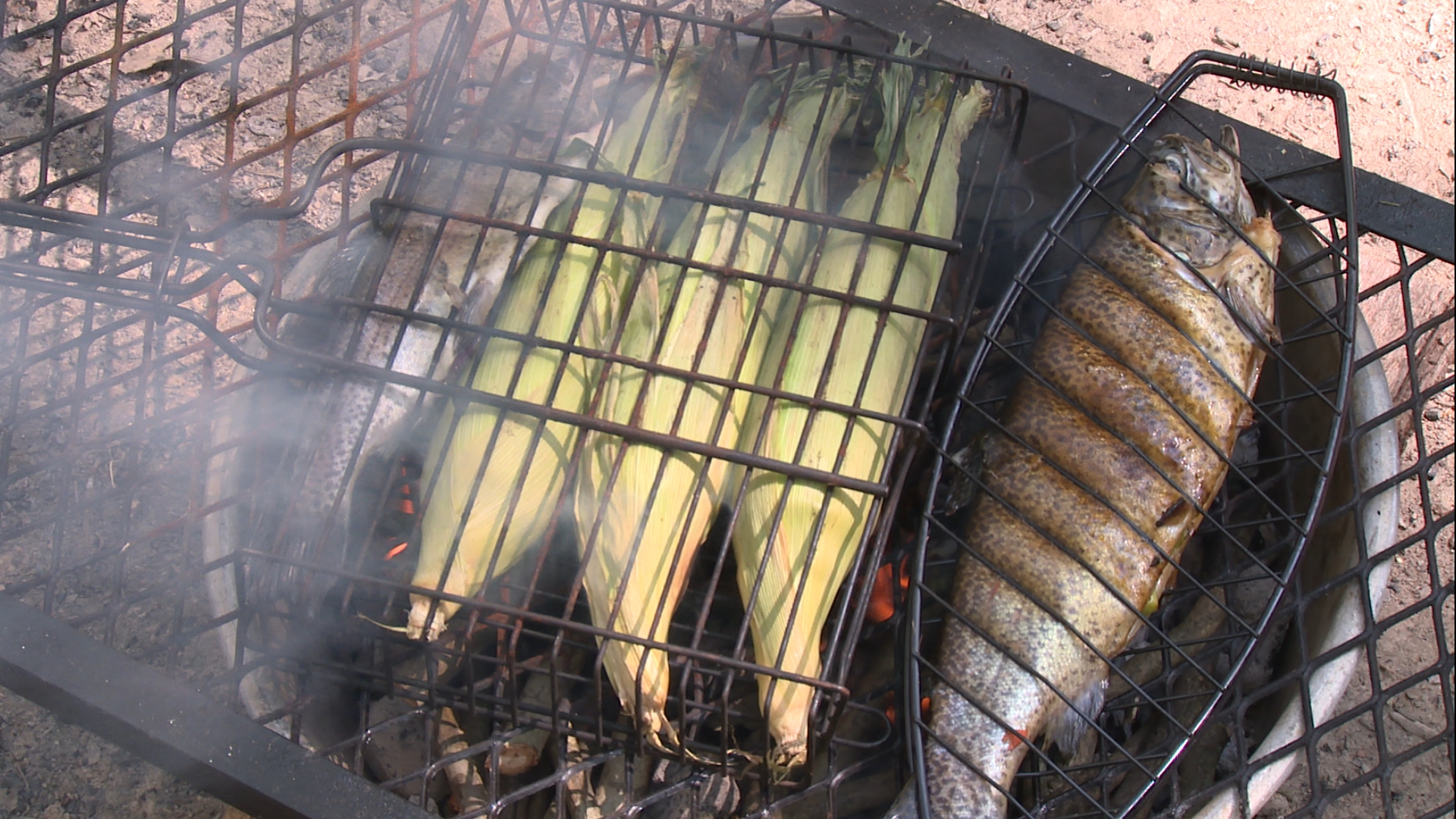 wild trout on barbecue grill