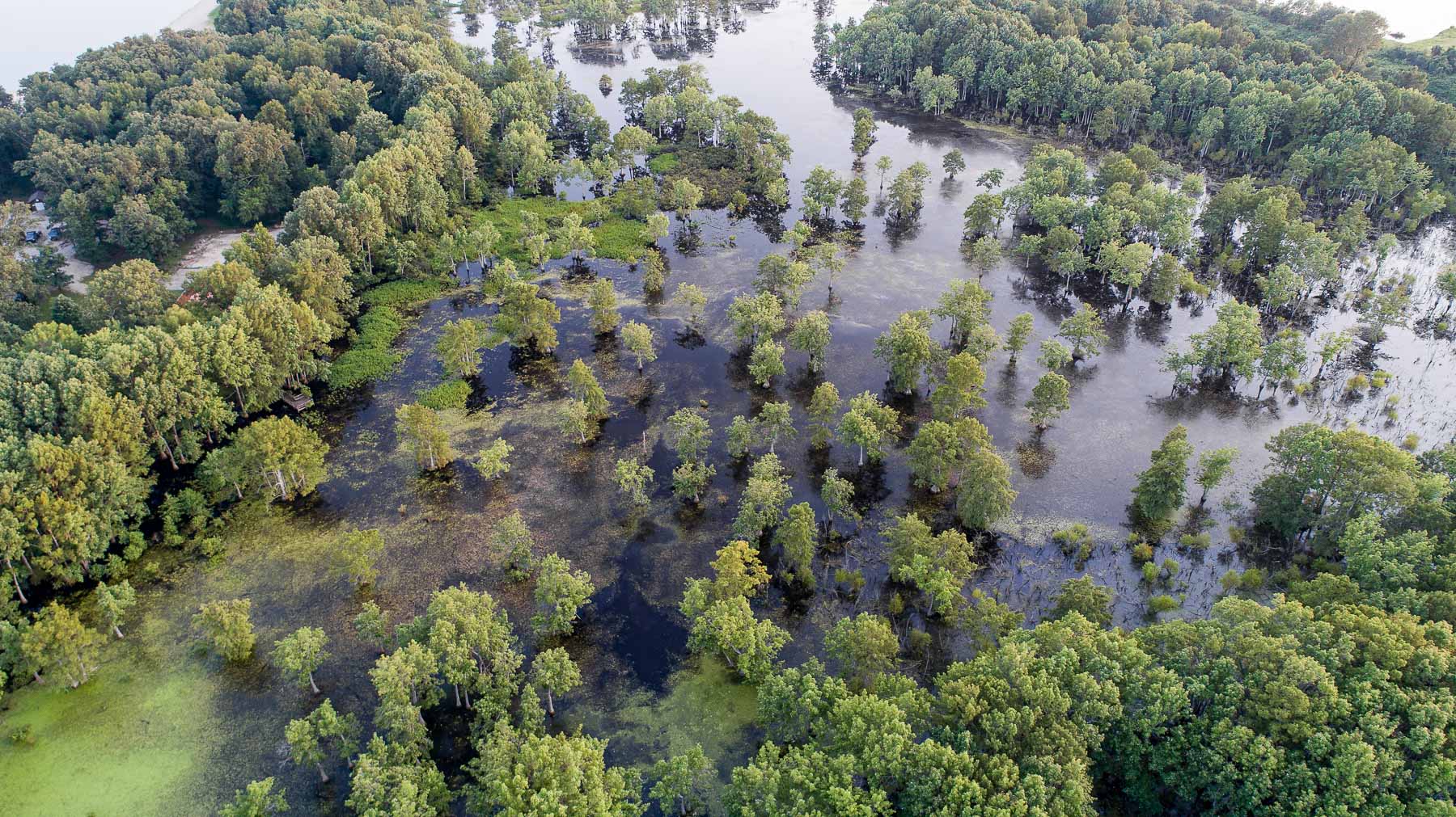 Aerial photo of Otter Slough