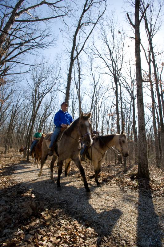 A rider on horseback on a wooded trail.